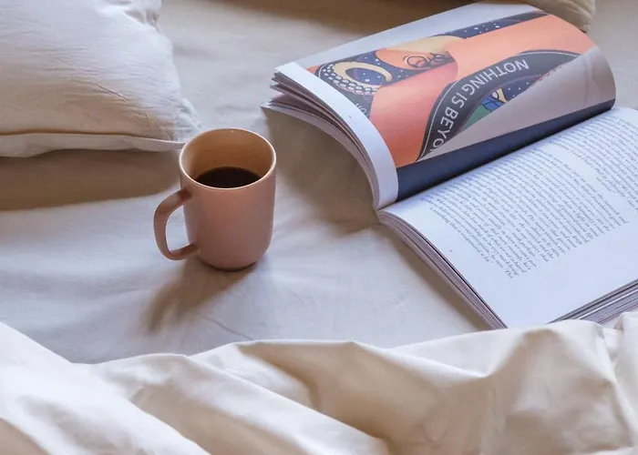 Holi Huus A Und B Tatil Evi