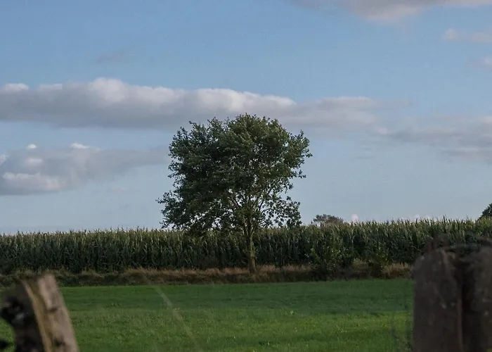 Holi Huus A Und B Tatil Evi Wallen